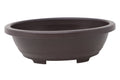 Oval Deep Brown Plastic Bonsai Training Pot V3545