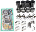 Engine Overhaul Rebuild Kit for Kubota Tractor R69495
