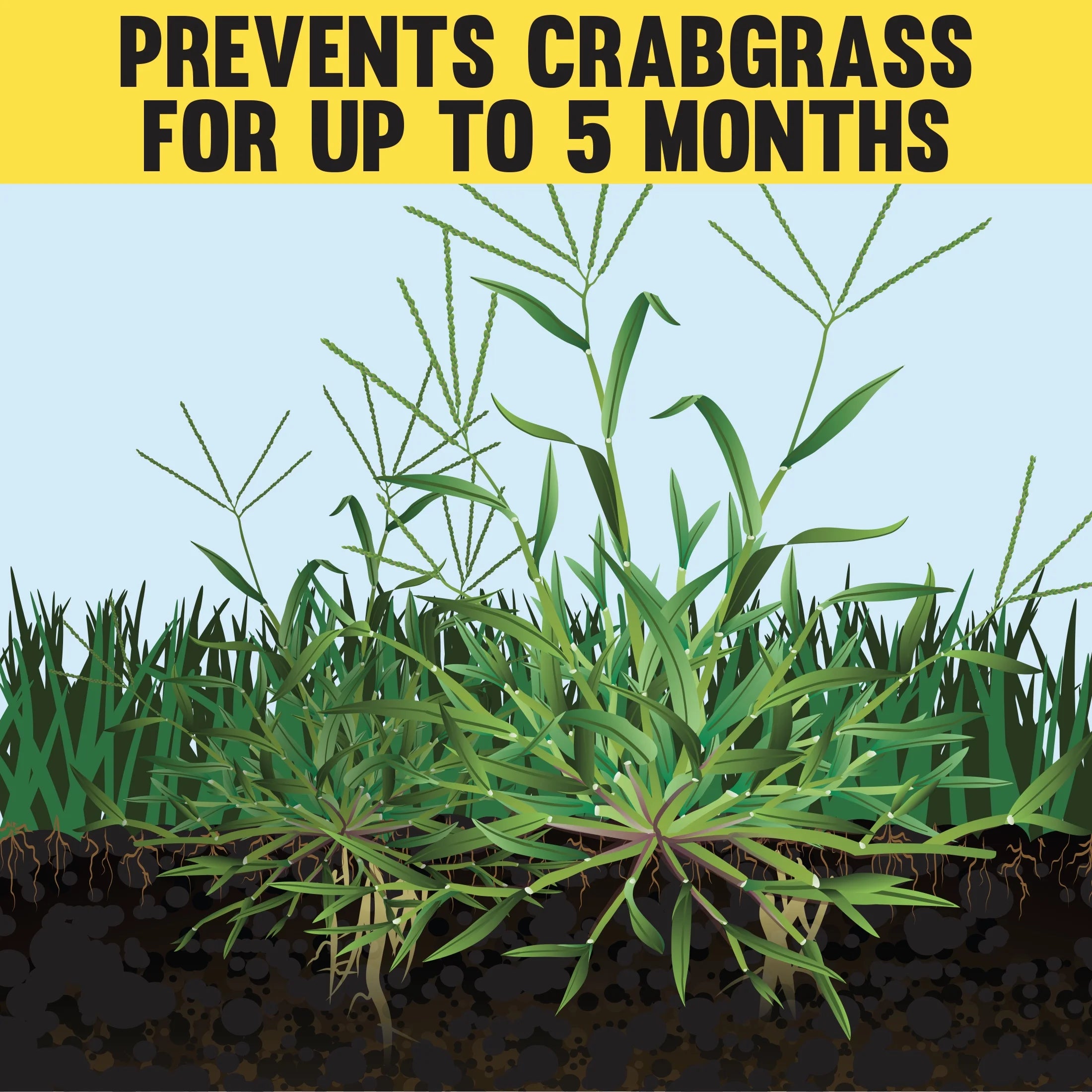 12 lb. Lawn Fertilizer 18-0-1 D9817