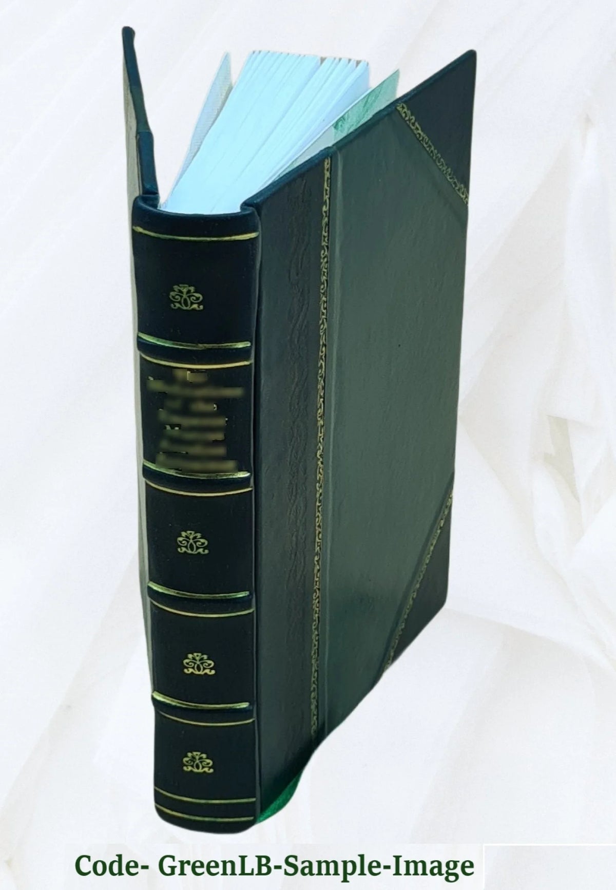 Leather Bound Book W1642