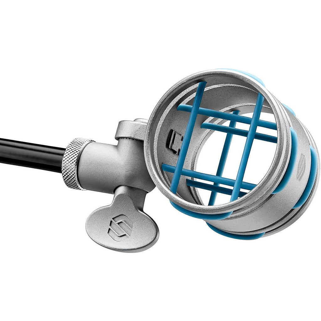 ST170 Ribbon Microphone Pair I19991