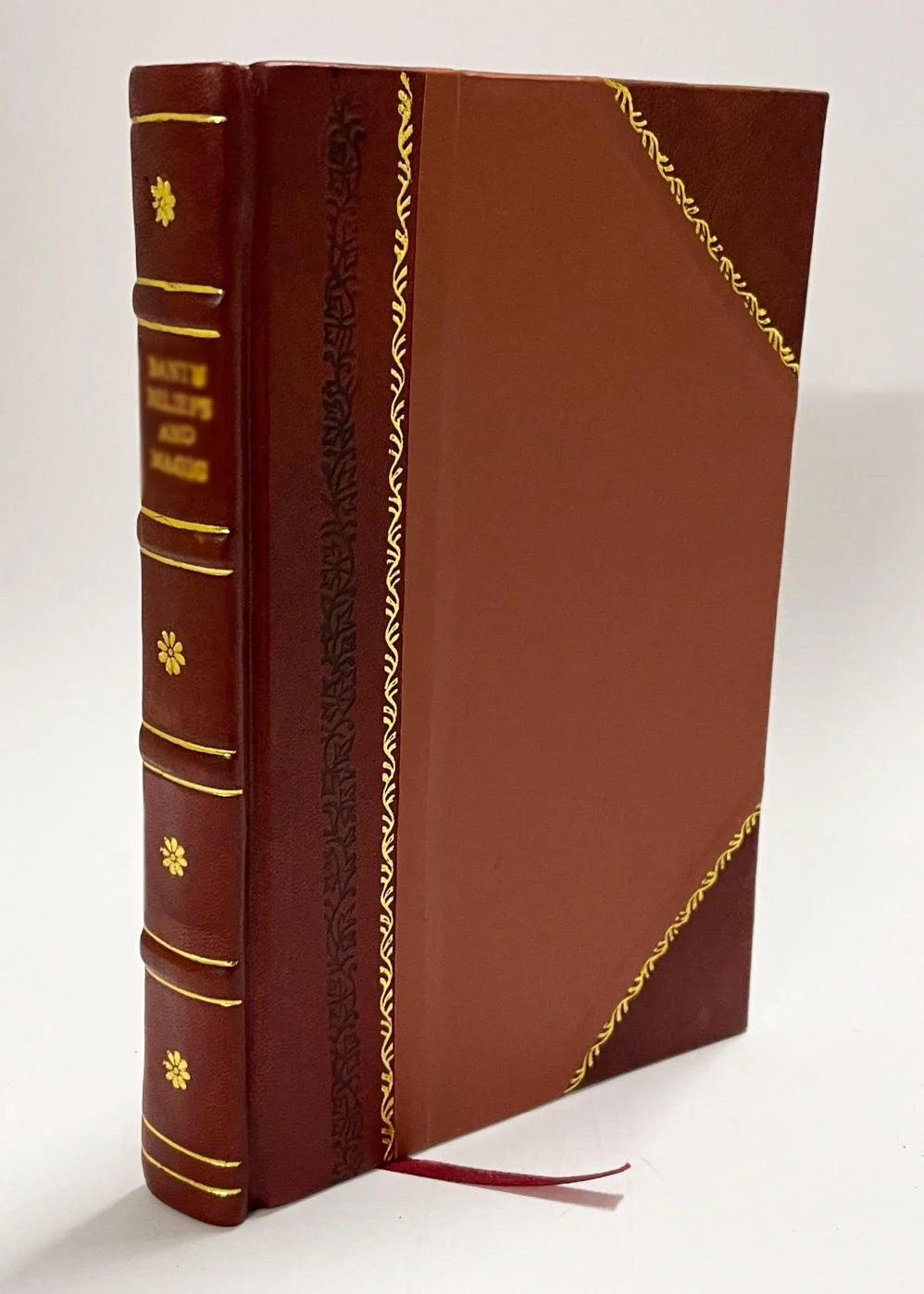 Leather Bound Book X274255