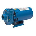Centrifugal Pump, 3/4 HP, 208-230/460 Volts, 3 Phase, Cast Iron S570