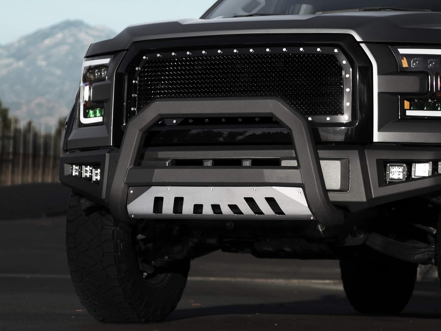 Matte Black Bull Bar with Aluminum Skid Plate H657