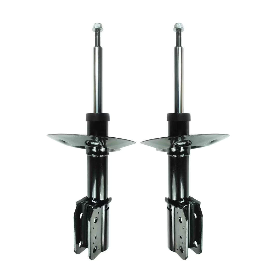Pair of 2 Front Suspension Strut Assembly N170
