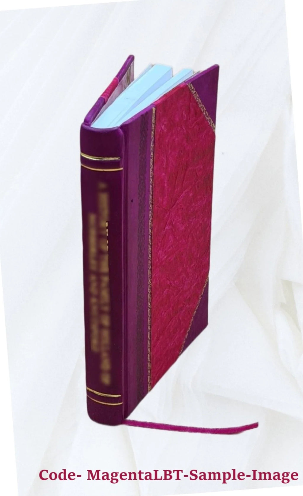 Leather Bound Book J22298