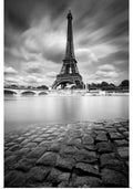 Poster Print 40x60 Y15879