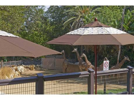 Patio Umbrella with Wood Pole Hardwood Ribs B70345