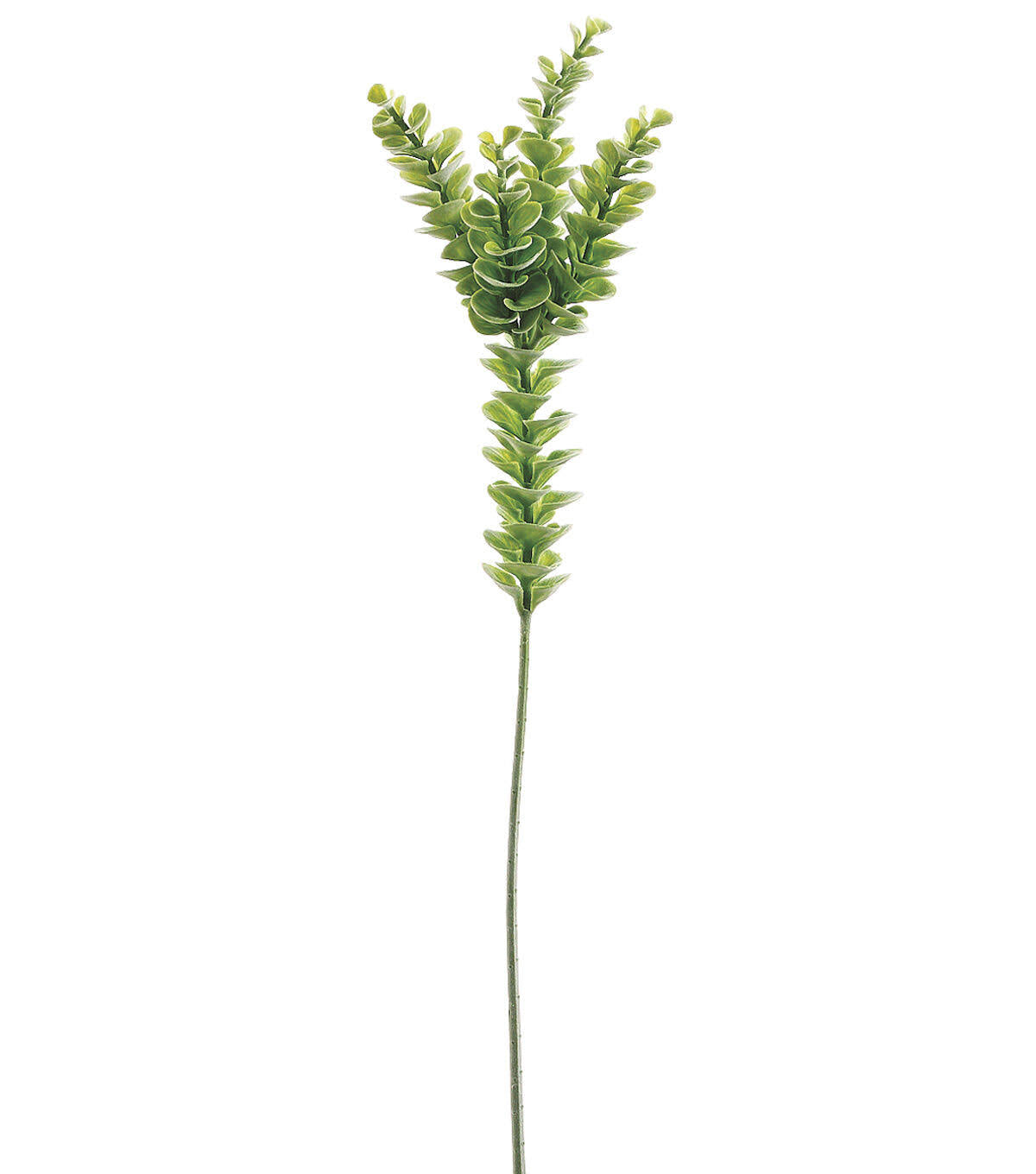 Eucalyptus Stem Green Z201572