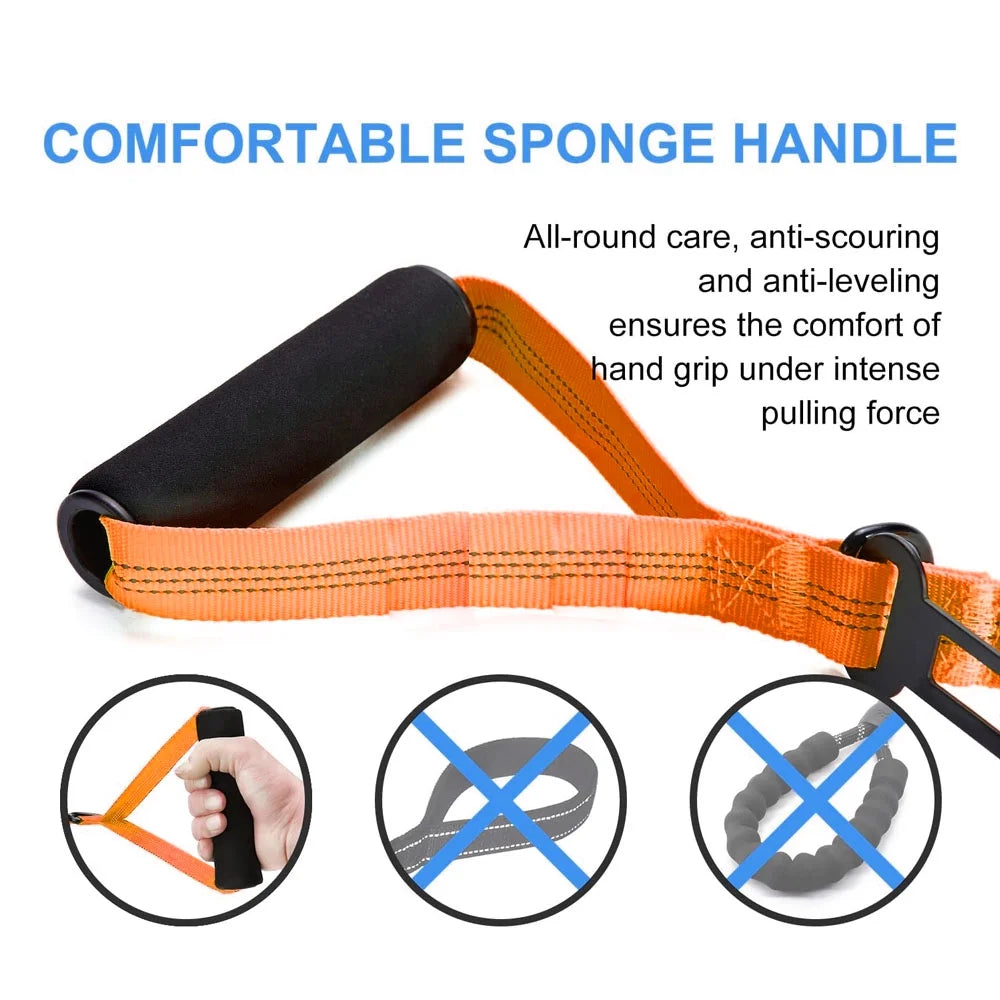 High Reflective Elastic Bungee Dog Leash with Cushion Handle U54162