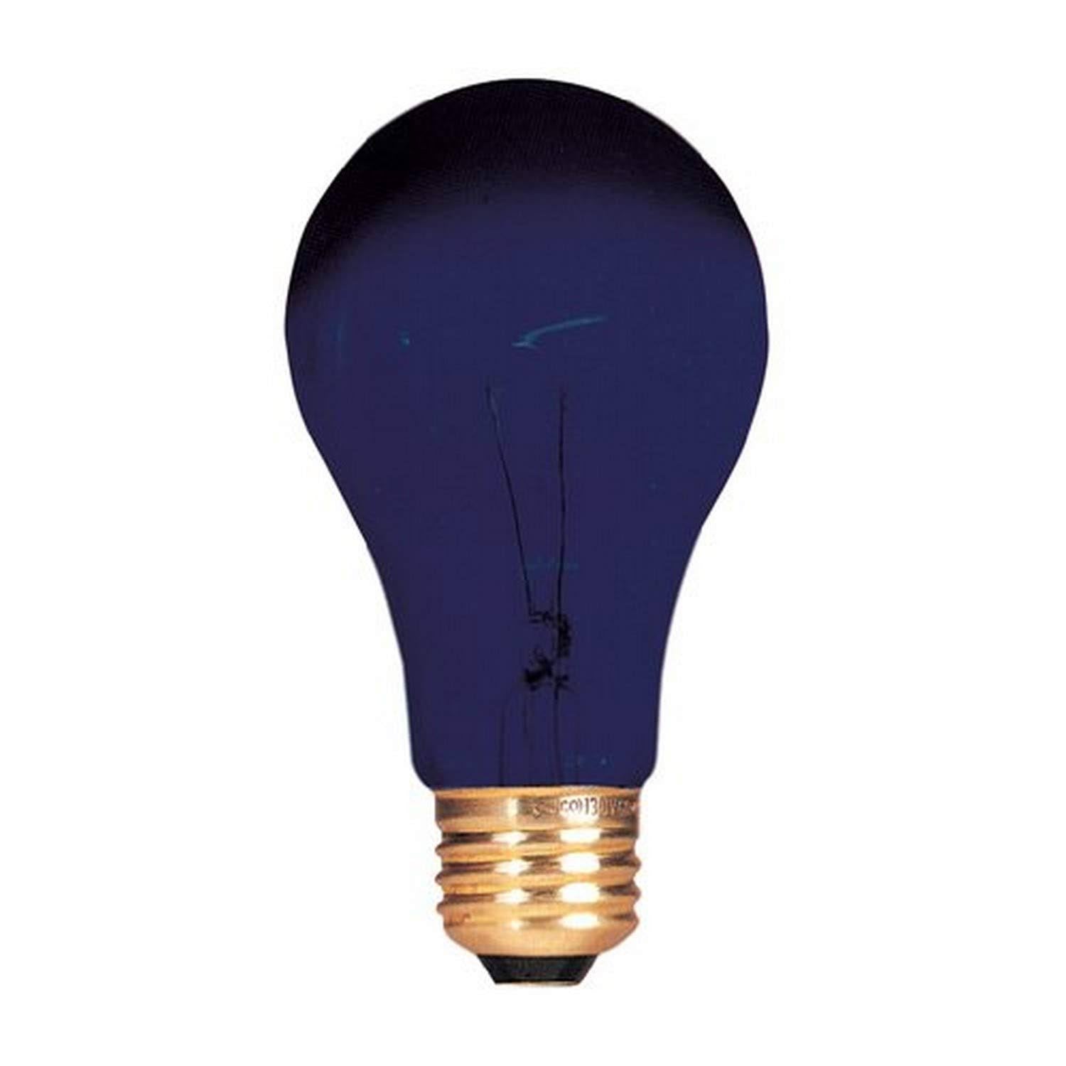 75 W Dimmable A19 Incandescent Bulb, 12 Pack N508