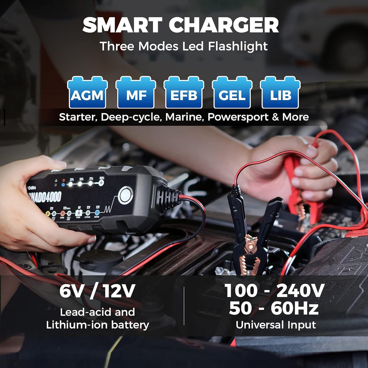 4A/1A 6V/12V Smart Battery Maintainer Desulfator for Lead-Acid/Lithium ion Batteries, Pack of 2 W35735