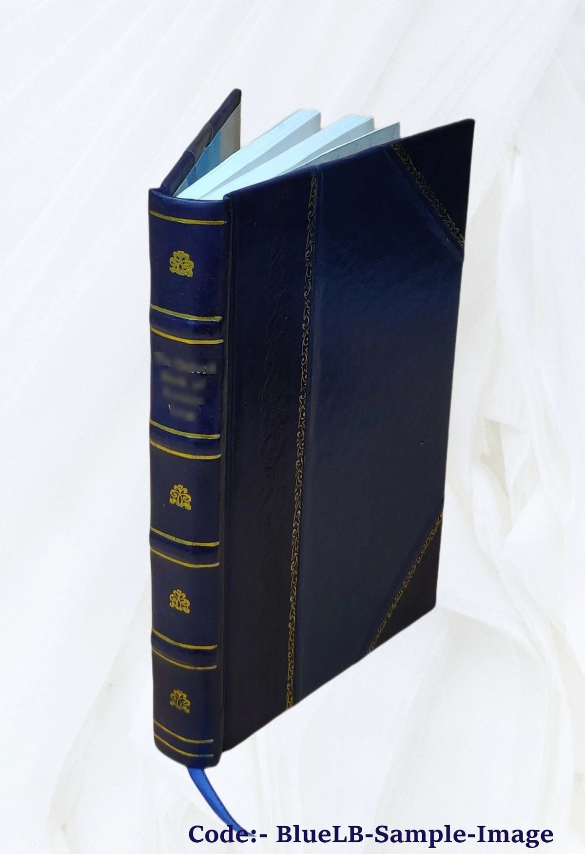 Leather Bound Book W1642