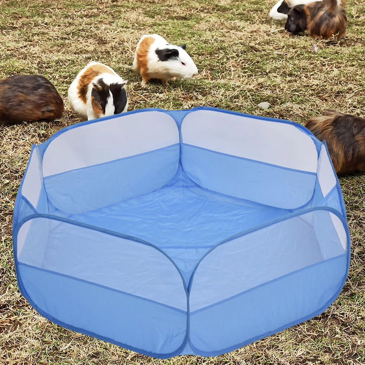 Folding Animal Playpen Yard Fence Cage Tent P774043