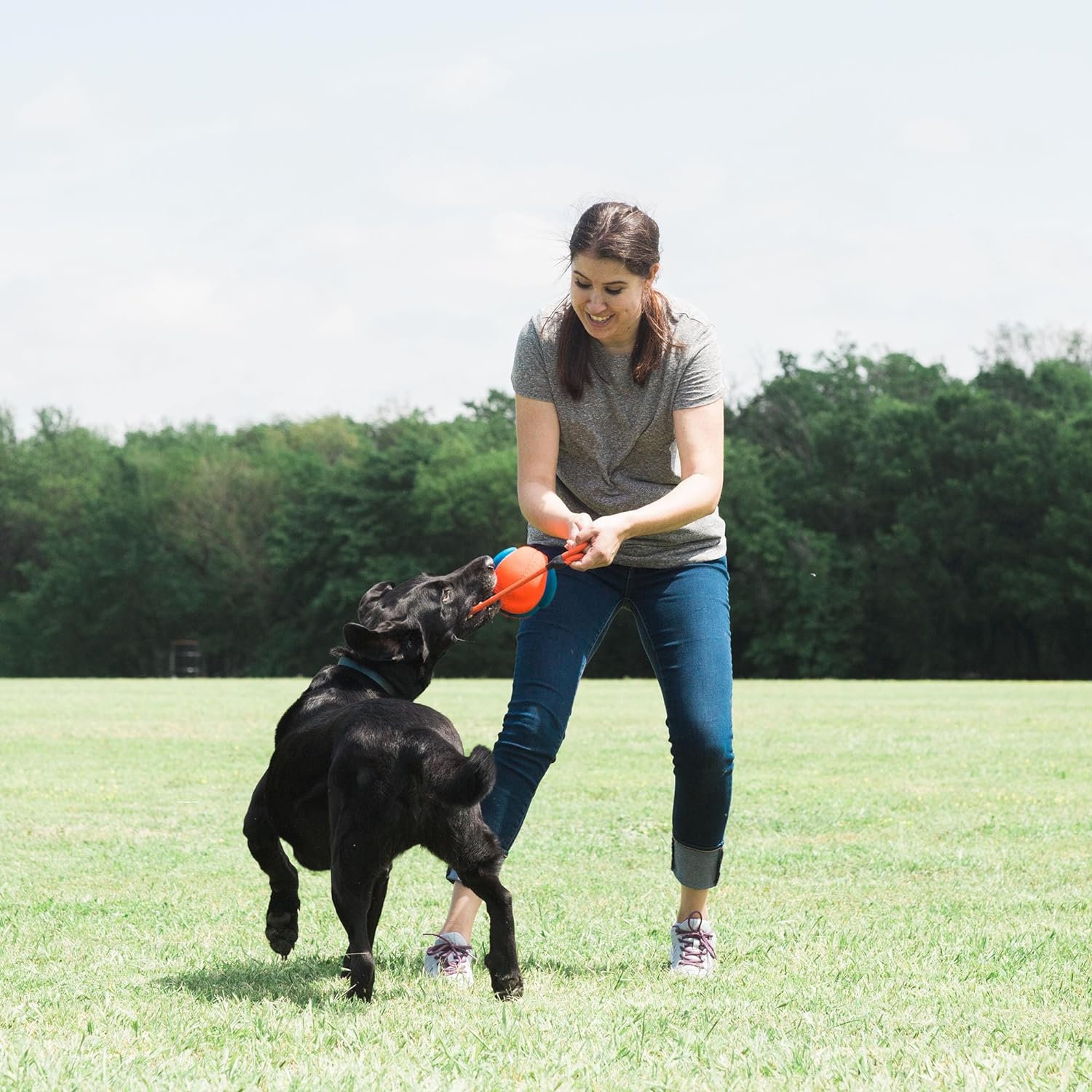 Rope Fetch Dog Toy J7166