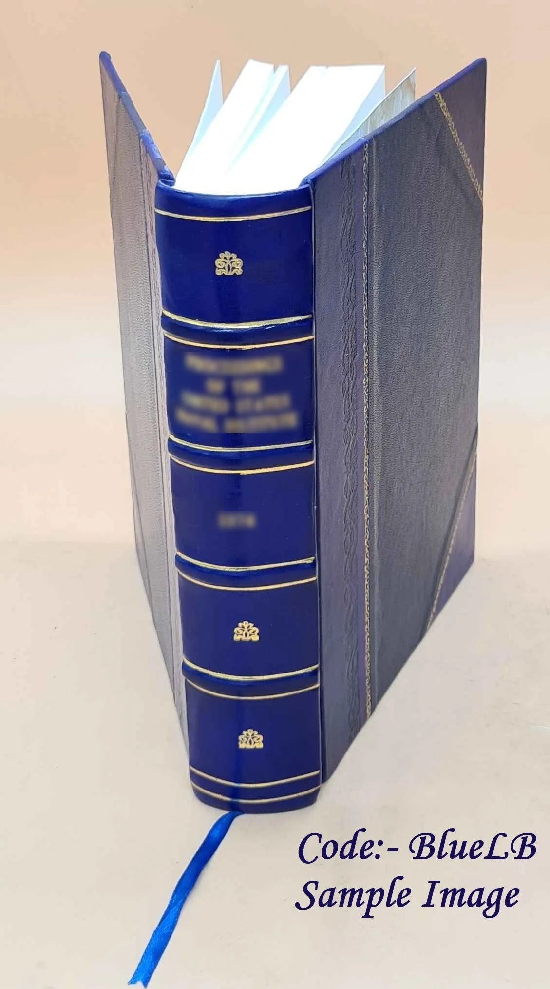 Leather Bound Book U33604