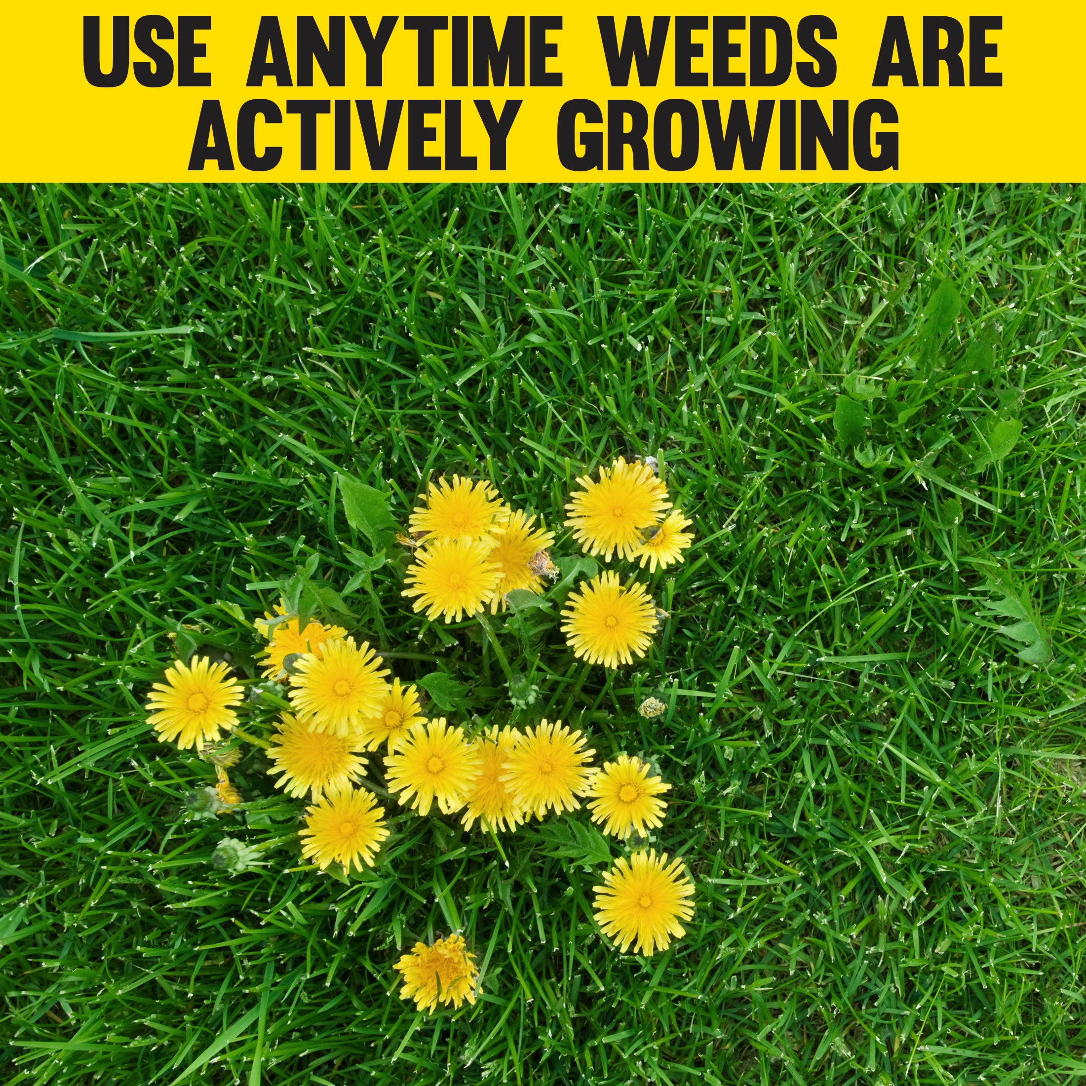 12 lb. Lawn Fertilizer 18-0-1 D9817