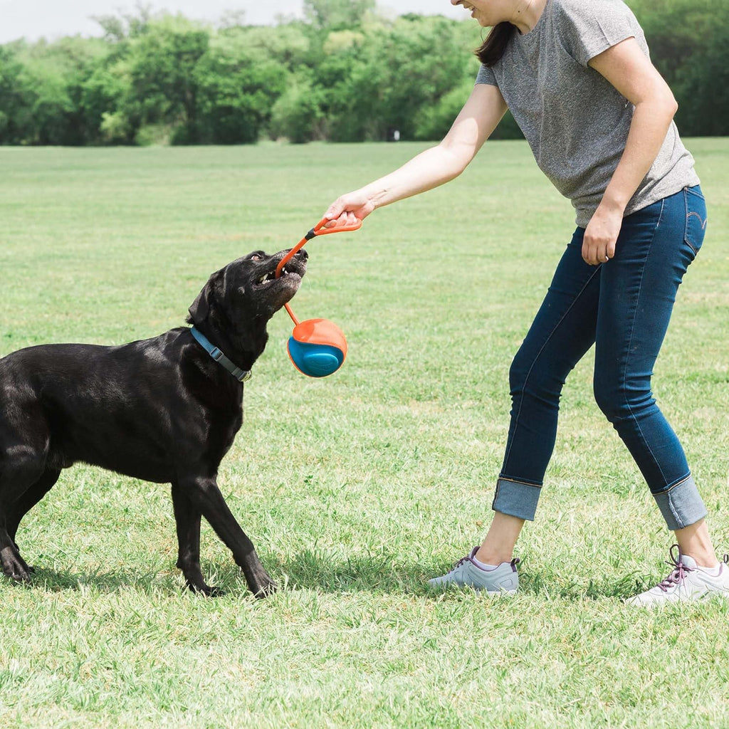 Rope Fetch Dog Toy J7166