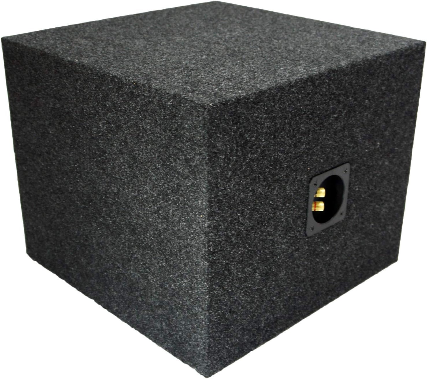 Alpine R-W10D4 Type R Car Audio Subwoofer Custom Sub Box Enclosure Package O840