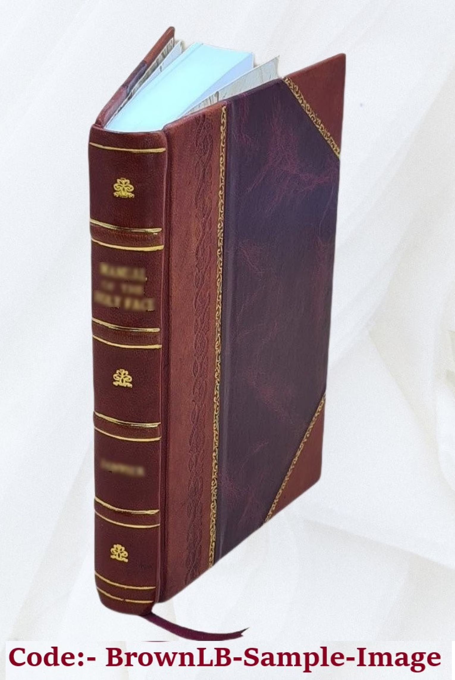 Leather Bound Book W1642