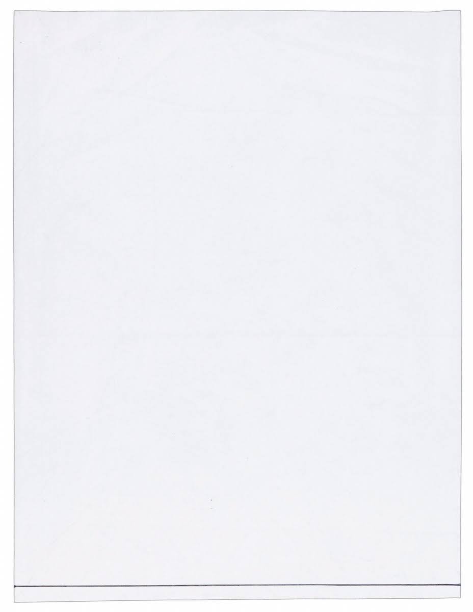 LDPE Lay Flat Poly Bag, 4 mil, PK250 L20065