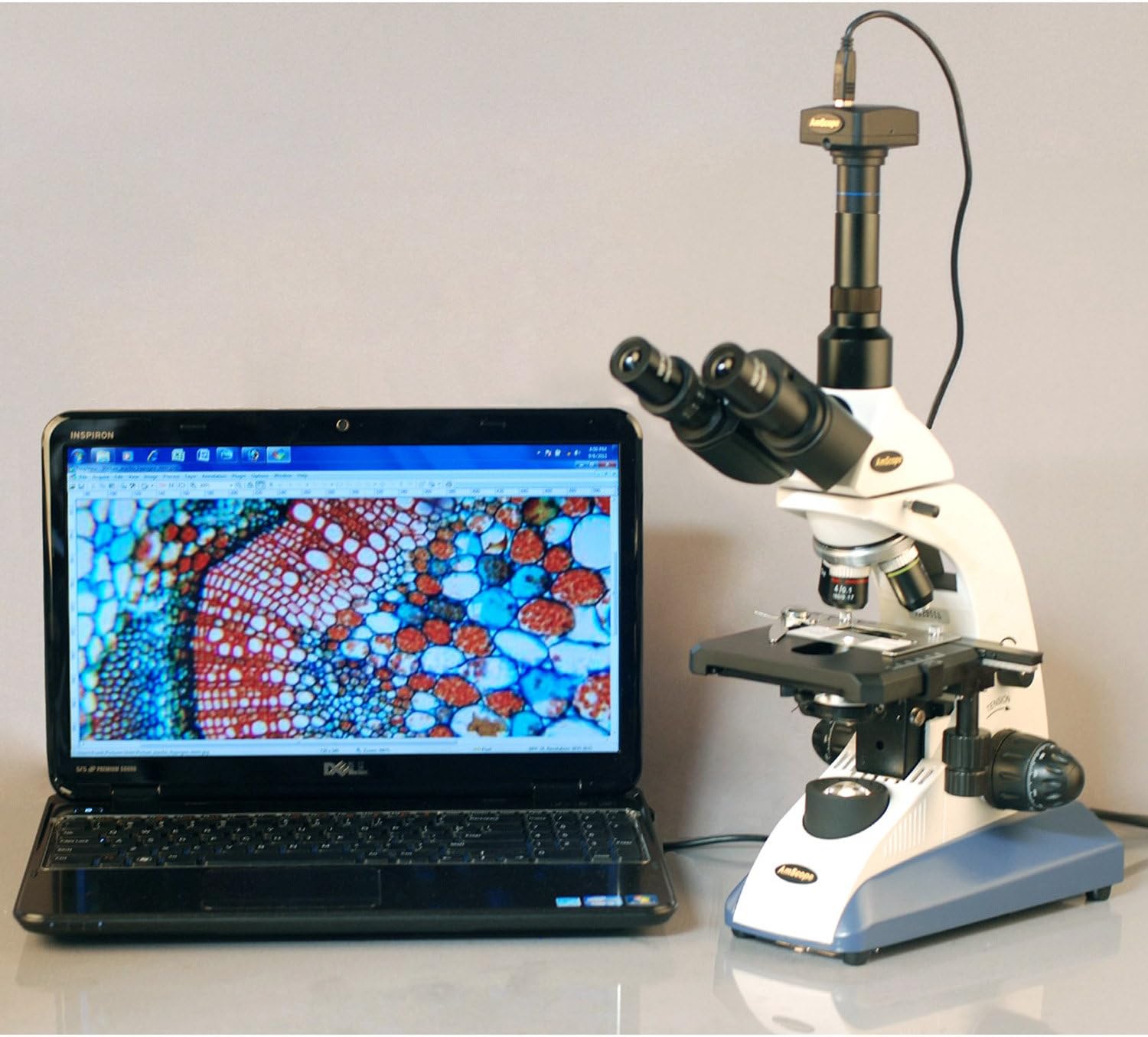 Compound Trinocular Microscope, 40X-2000X Magnification, Halogen Illumination P153058