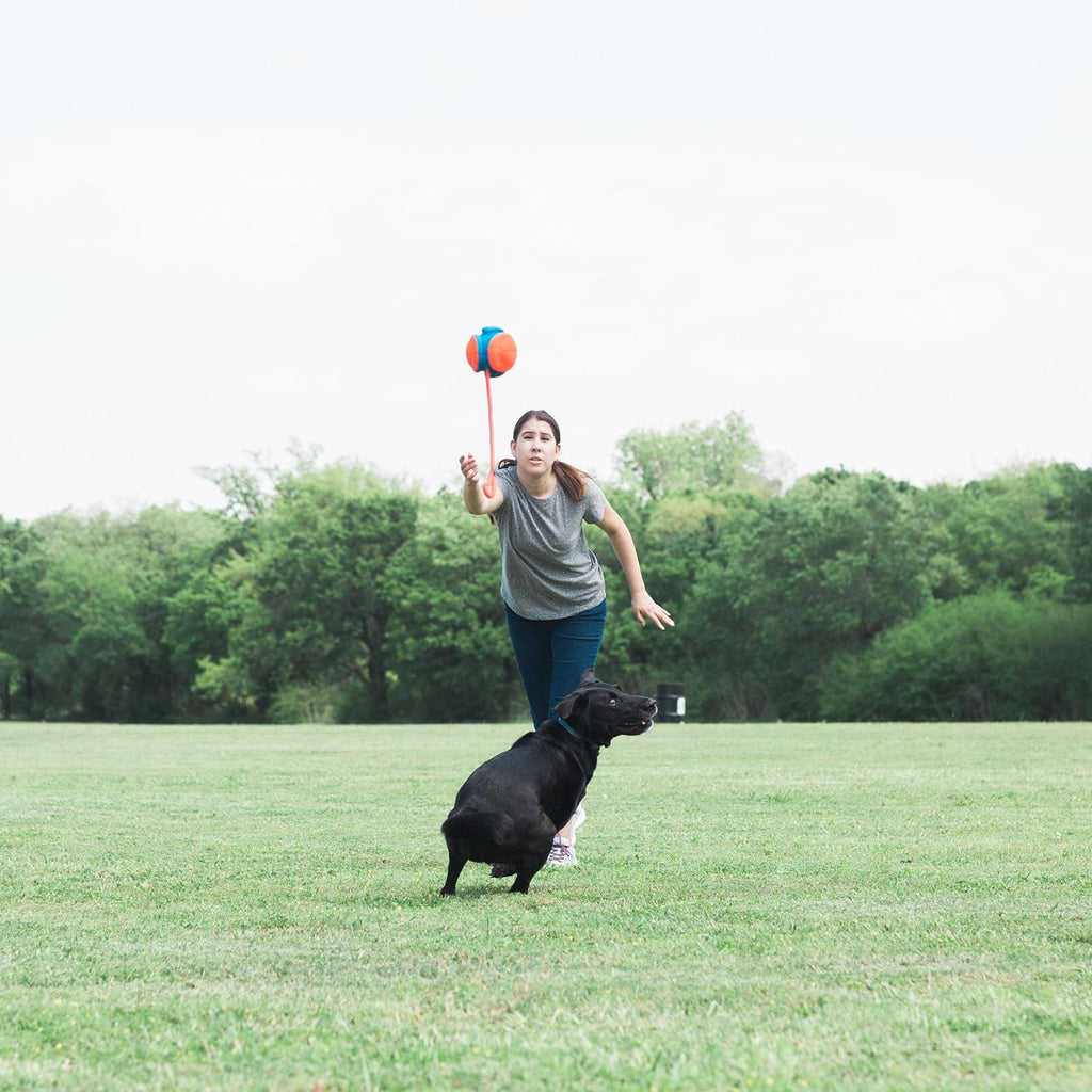 Rope Fetch Dog Toy J7166
