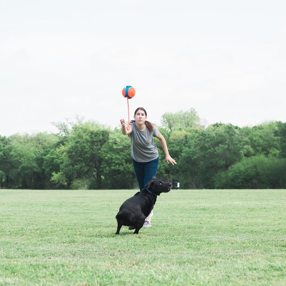 Rope Fetch Dog Toy J7166