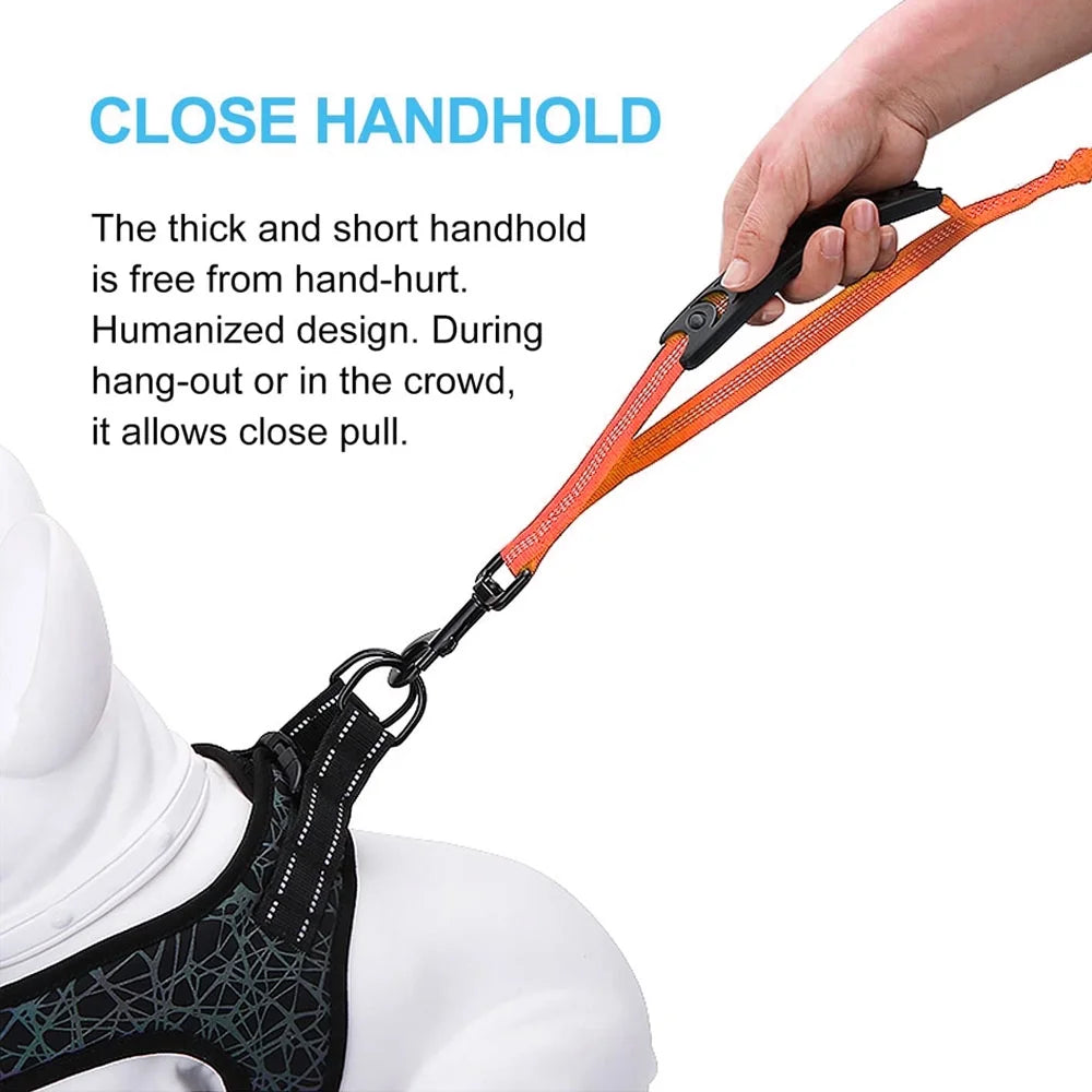 High Reflective Elastic Bungee Dog Leash with Cushion Handle U54162