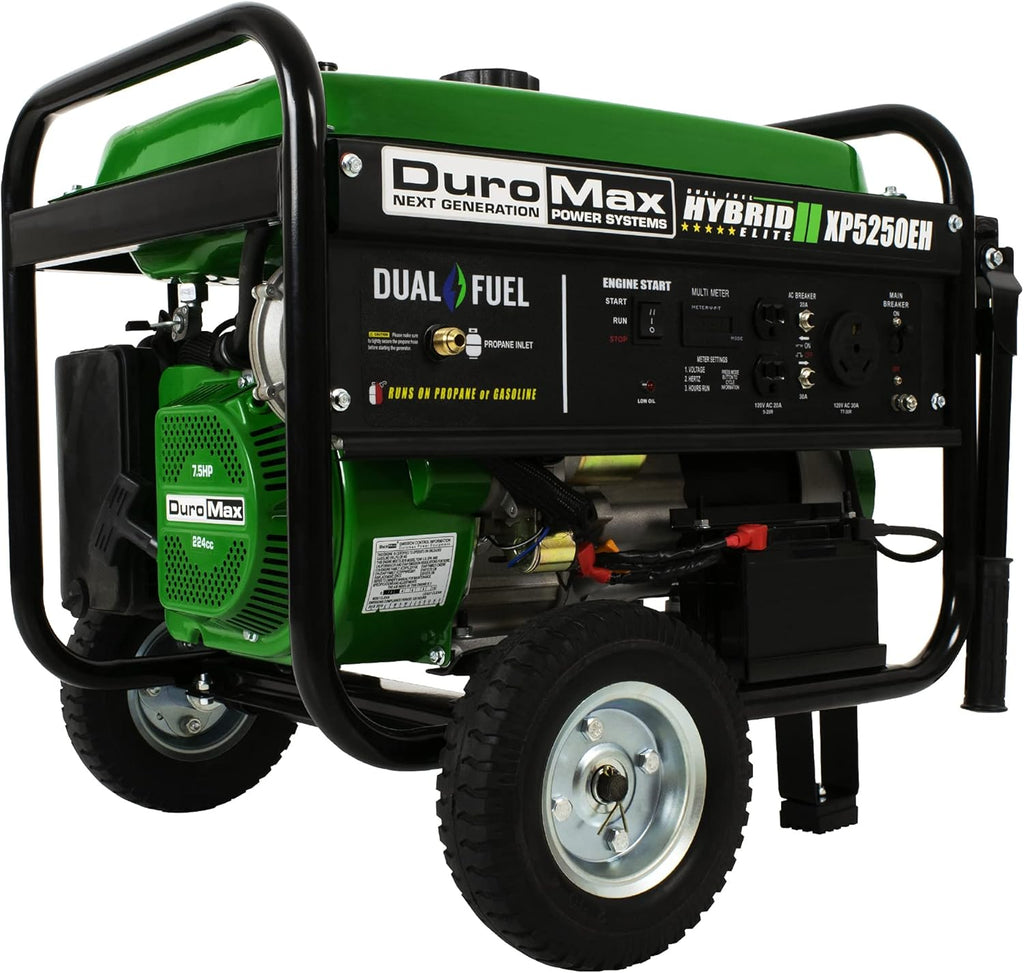 5500 Watt Dual Fuel Portable Generator B494