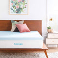 3 inch Gel Infused Memory Foam Mattress Topper T691