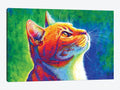 Rainbow Tabby Cat Canvas Wall Decor Prints M736
