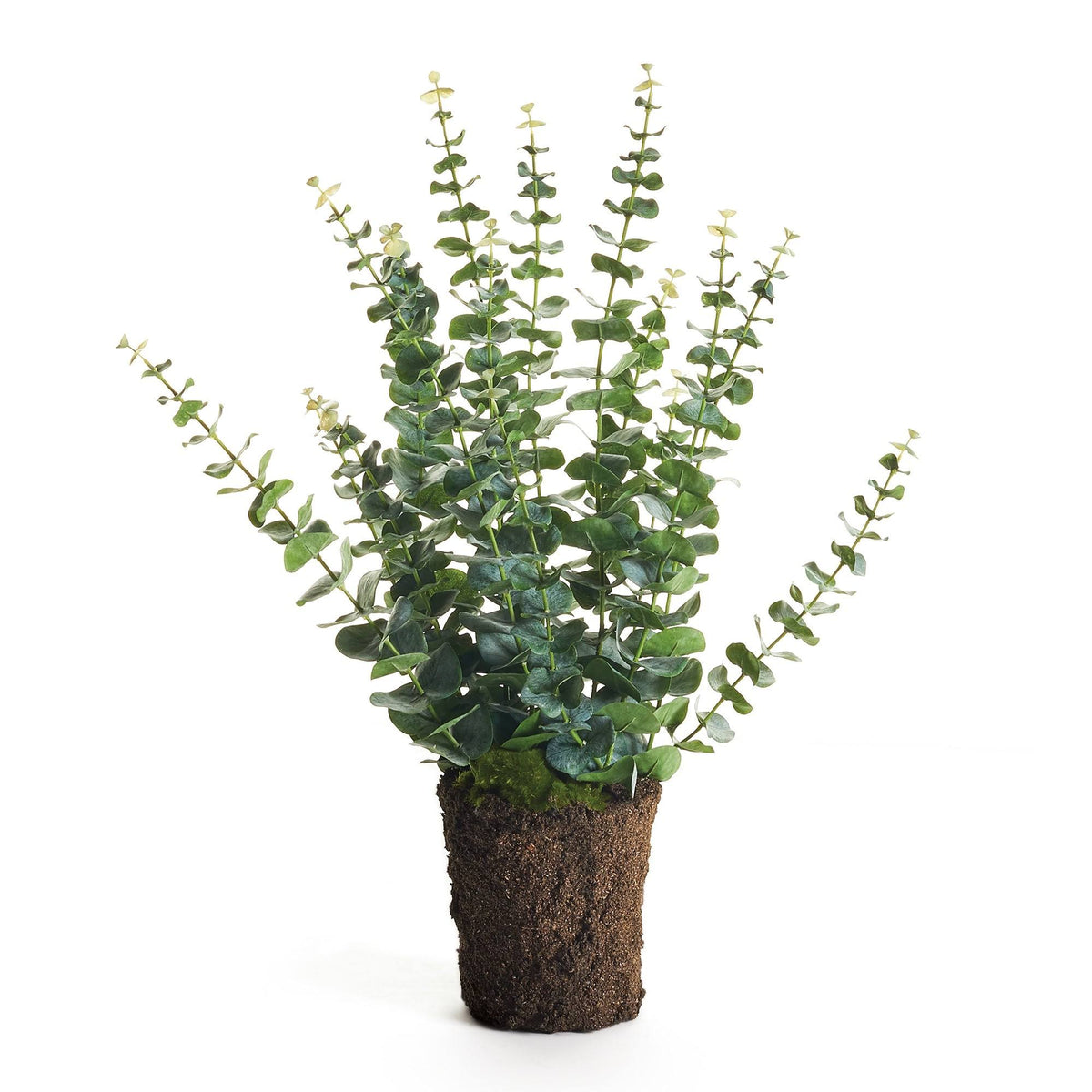 Eucalyptus Drop-In 25x22 Green I828