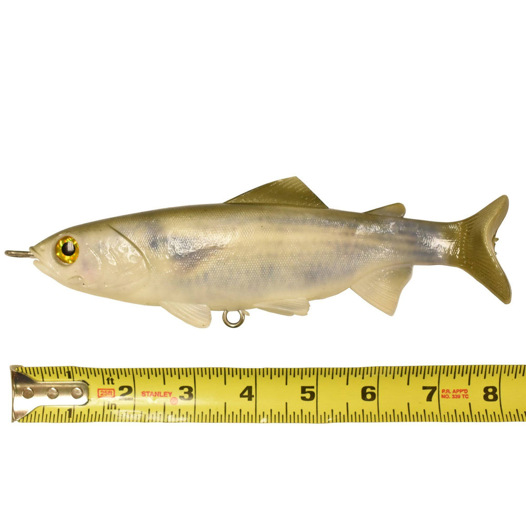 8 in. Lifelike Fish L534