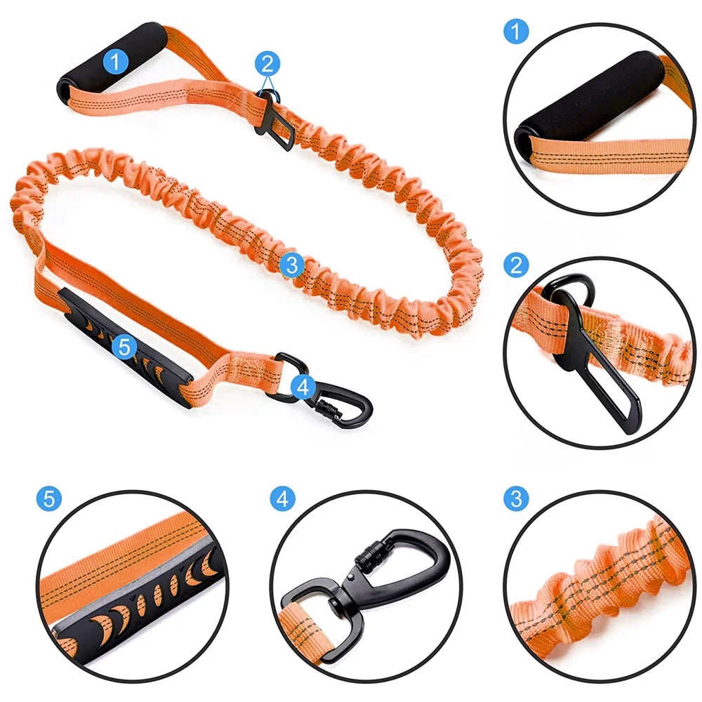 High Reflective Elastic Bungee Dog Leash with Cushion Handle U54162